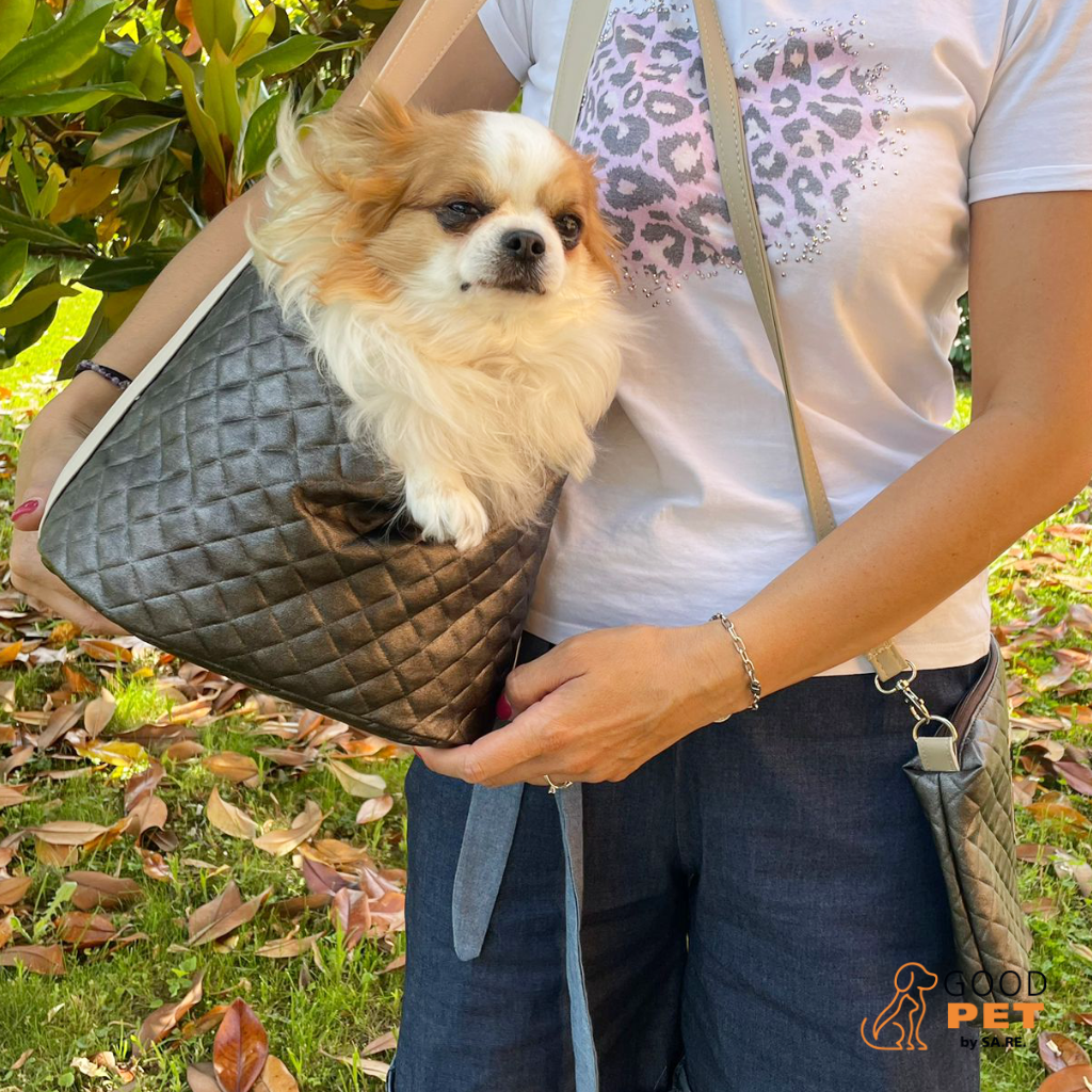 cane di piccola taglia bianco e marrone in una borsa tracolla per cani